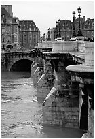 The Pont-neuf. Paris, France (black and white)