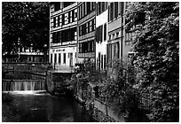 Half-timbered houses next to a canal. Strasbourg, Alsace, France (black and white)