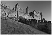 Medieval fortified city. Carcassonne, France (black and white)