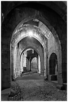 Main entrance of medieval city through drawbridge at night. Carcassonne, France (black and white)