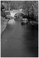 Ducks, barge and bridge, Canal du Midi. Carcassonne, France ( black and white)