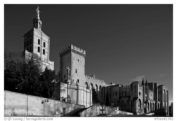 Cathedral of Notre-Dame-des-Doms and Palace of the Popes. Avignon, Provence, France