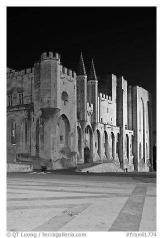 Palace square and Palais des Papes at night. Avignon, Provence, France (black and white)