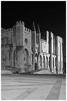 Palace square and Palais des Papes at night. Avignon, Provence, France ( black and white)