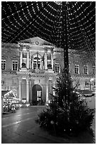 Christmas Tree and City Hall at night. Avignon, Provence, France (black and white)
