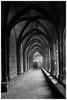 Gothic gallery, St Trophimus cloister. Arles, Provence, France (black and white)