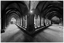 Galleries, Saint Trophimus cloister. Arles, Provence, France ( black and white)