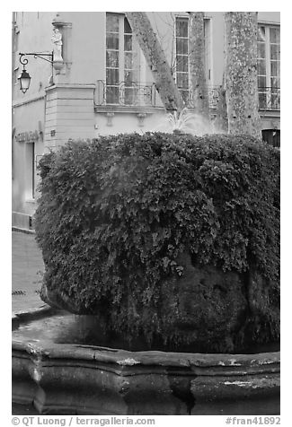 Fountain, Cours Mirabeau. Aix-en-Provence, France (black and white)