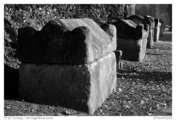 Sarcophagi lining main path, Alyscamps. Arles, Provence, France (black and white)
