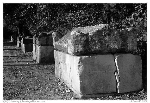 Roman Sarcophagi, Alyscamps. Arles, Provence, France (black and white)