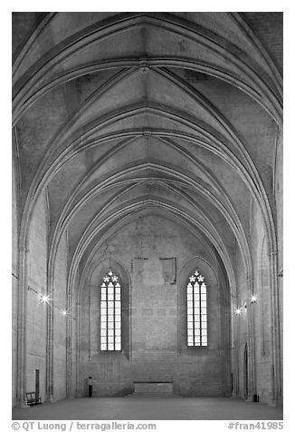 Chapel, Palace of the Popes. Avignon, Provence, France (black and white)
