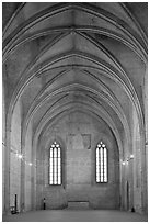 Chapel, Palace of the Popes. Avignon, Provence, France ( black and white)