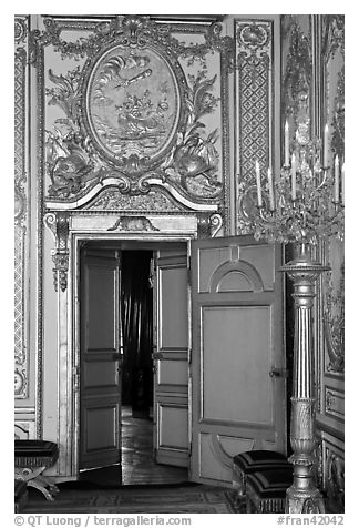 Fontainebleau Palace interior with richly decorated walls. France (black and white)