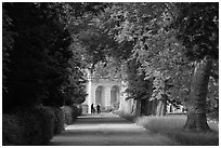 Forested alley and palace, Fontainebleau Palace. France (black and white)