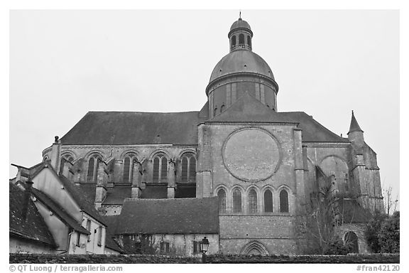 Mossy roofs and dome, Saint Quiriace Collegiate Church, Provins. France (black and white)