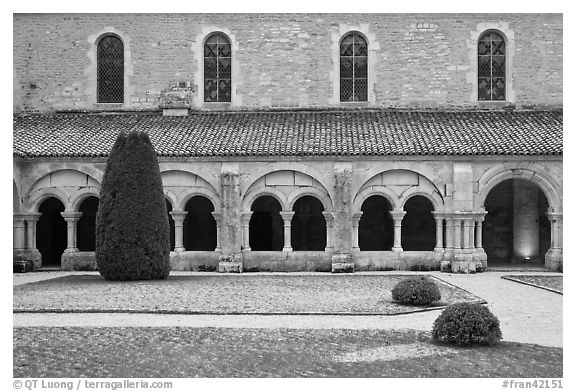 Cloister garden, Cistercian Abbey of Fontenay. Burgundy, France (black and white)