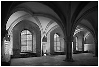 Rib-vaults, monks room, Cistercian Abbey of Fontenay. Burgundy, France ( black and white)