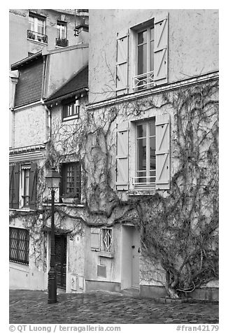 House with blue shutters and bare ivy, Montmartre. Paris, France (black and white)
