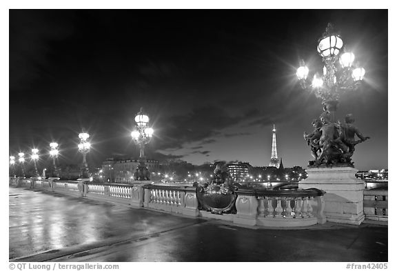 Lamps on Pont Alexandre III by night. Paris, France (black and white)