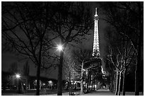 Trees in Champs de Mars and Eiffel Tower at night. Paris, France (black and white)