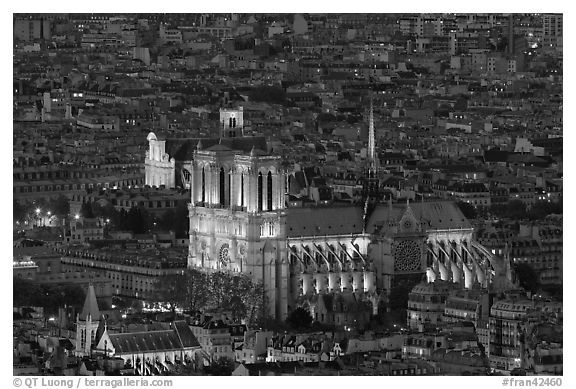 Notre-Dame de Paris Cathedral from above at night. Paris, France (black and white)