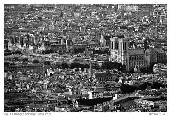 Hotel de Ville (City Hall) and Notre Dame seen from the Montparnasse Tower, sunset. Paris, France (black and white)