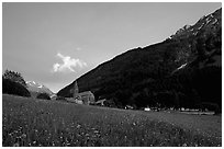Meadow, Villar d'Arene village, ridge, sunset. France (black and white)