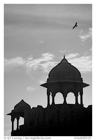 Bird and wall pavilions of Red fort, sunrise. New Delhi, India (black and white)