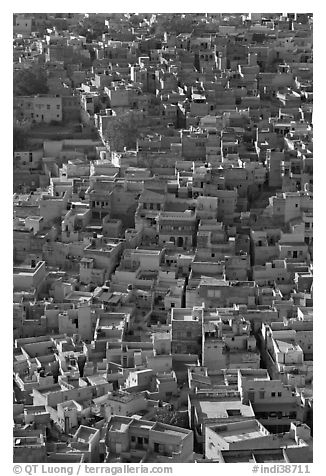 Rooftops of blue houses, seen from above. Jodhpur, Rajasthan, India (black and white)
