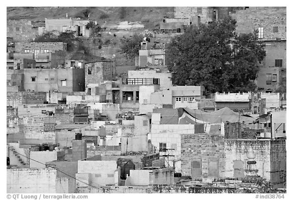 Old quarter houses at dawn. Jodhpur, Rajasthan, India (black and white)