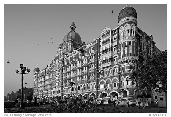 Taj Mahal Palace Hotel and pigeons. Mumbai, Maharashtra, India