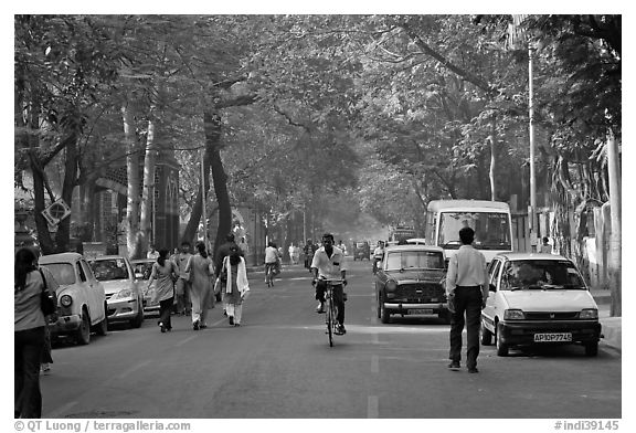 Tree-lined street, Colaba. Mumbai, Maharashtra, India (black and white)