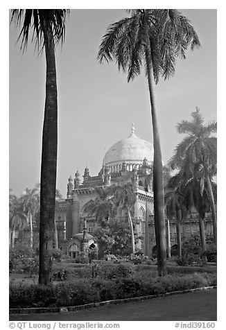 Chhatrapati Shivaji Mahraj Vastu Sangrahalaya gardens. Mumbai, Maharashtra, India