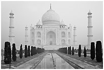 Taj Mahal reflected in watercourse,  sunrise. Agra, Uttar Pradesh, India (black and white)