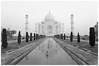 Ornamental gardens and Taj Mahal, sunrise. Agra, Uttar Pradesh, India ( black and white)