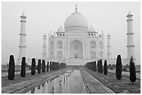 Taj Mahal, charbagh gardens, and watercourse, sunrise. Agra, Uttar Pradesh, India ( black and white)