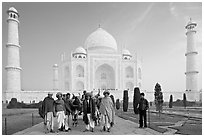 Men with turbans and cows in front of Taj Mahal, early morning. Agra, Uttar Pradesh, India (black and white)