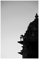 Temple profile, Western Group, sunset. Khajuraho, Madhya Pradesh, India ( black and white)