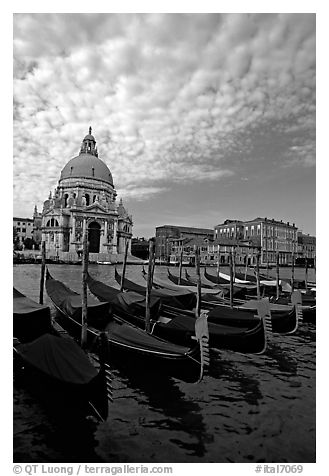 Gondolas, Grand Canal, Santa Maria della Salute church, morning. Venice, Veneto, Italy (black and white)