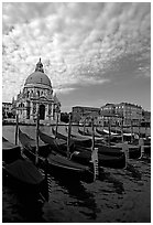 Gondolas, Grand Canal, Santa Maria della Salute church, morning. Venice, Veneto, Italy (black and white)