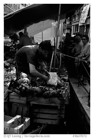 Selling fruit and vegetable from a boat on a small  canal, Castello. Venice, Veneto, Italy (black and white)