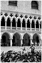 Boy feeding the pigeons in fron tof the Palazzo Ducale,  Piazza San Marco (Square Saint Mark), mid-day. Venice, Veneto, Italy ( black and white)