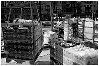 Delivery of fresh produce from the Grand Canal. Venice, Veneto, Italy ( black and white)
