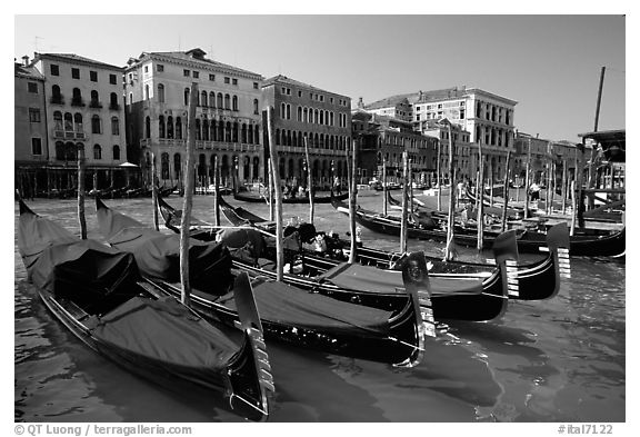 Row of gondolas covered with blue tarps, the Grand Canal. Venice, Veneto, Italy (black and white)