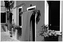 Multicolored houses and flowers,  Burano. Venice, Veneto, Italy ( black and white)