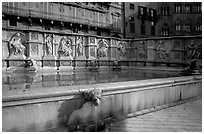 15th century Fonte Gaia (Gay Fountain) on Il Campo. Siena, Tuscany, Italy (black and white)