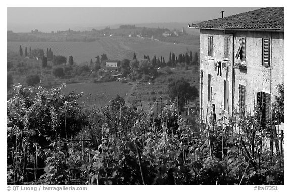 Gardens and countryside on the periphery of the town. San Gimignano, Tuscany, Italy (black and white)