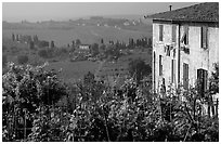 Gardens and countryside on the periphery of the town. San Gimignano, Tuscany, Italy (black and white)