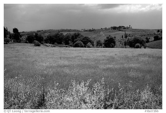 Countryside. Tuscany, Italy (black and white)