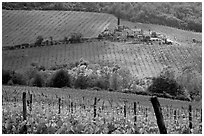 Grape rows, Chianti vineyard and village. Tuscany, Italy (black and white)